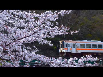 【のら】とりてつ❕ ~2026年 名松線の春~
