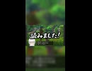 【ネタバレ注意】埋められた手紙編【ドラクエ11S】