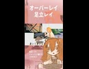オーバーレイ/足立レイという曲です