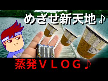 【東京の東を確かめるVLOG】首都高速の「あの場所」に大感動！？東へ爆走して可愛い自然の景色にドキドキ！編。【バーチャルいいゲーマー佳作選】
