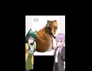ずん子さんはネコ_番外編