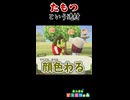 【あつ森】たもつが私にくれたもの【実況】