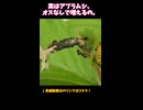 【ヤバい】春にアブラムシが急増する理由、これです
