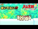 とっとこハム太郎4実況プレイしてみた⭐️#2【てぃきみ】
