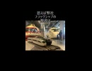 5周年の海老名ロマンスカーミュージアムに行ってきました。[テツ道の1日・鉄道vlog]