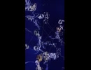 灯影【ボカロオリジナル曲】