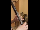 【クラリネット】ミラクルペイント【OSTER project】
