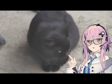 【CeVIO車載】フィーちゃんとゆったりドライブ　vol.24　レトロ自販機探訪その５＋【四輪車載】