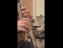 【クラリネット】STEP UP!のギターソロを吹いてみた【蓮ノ空】
