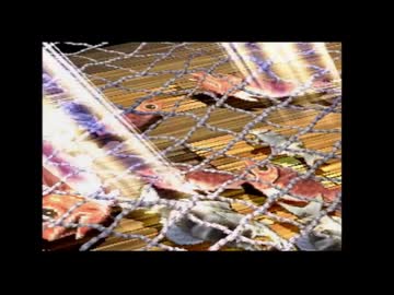 ドラクエ7　「真・レベル1ボス撃破」を実際にやってみる　ED