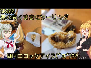 【弦巻マキ車載】弦巻マキのSRぶらり旅～ほったらかし温泉を目指して　その1　小菅～丹波山　～