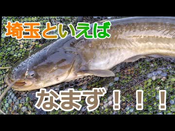 ナマズが釣れたので食べる