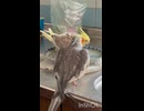 おやすみ恒例！
