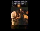 十二使徒にユダは3人いた⁉