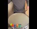 Sperballs on Snare Drum ころがるよ