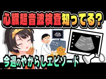心エコーで条件がそろった結果【大空スバル/ホロライブ/切り抜き】
