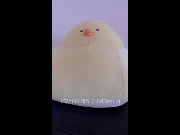 PRAYING RUN / UVERworld (acapella cover)
