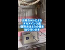 【オカメインコ】喋る・愛でられる・神・出される。四者四様の個性が爆発した結果ｗｗ