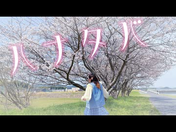 【春なので】ハナタバ　踊ってみた【桜】