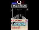 やってるとよくわからなくなるやつ【Q REMASTERED】