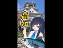【激うまカツオ】高知に行ってみた！　双葉湊音