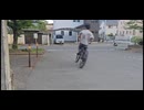 チャリドリ 春