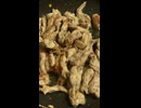 セセリを焼いたよ