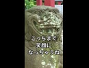 クセ強すぎる狛犬 #02｜ニヤケが止まらない