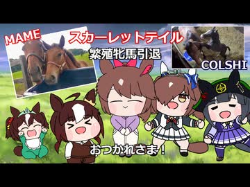 テイルママ繁殖牝馬おつかれさま！【ウマ娘 たぬき スカーレットテイル スティルアイライズ コルシカ】