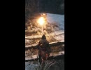 『SEKIRO』戦闘