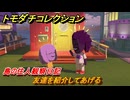 トモダチコレクション　友達を紹介してあげる　島の住人観察日記　＃９０　【トモコレわくわく生活】