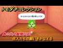 トモダチコレクション　住人たちの願いをかなえる　島の住人観察日記　＃９６　【トモコレわくわく生活】