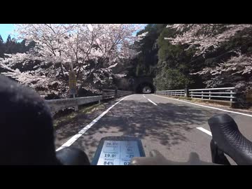 2026 奈良 桜花見 池神社から425号～229号ダウンヒル