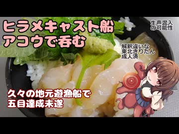きりたんの釣果酒肴禄　ヒラメキャスティング/アコウで酒を呑む