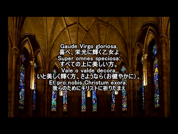 Ave Regina  coelorum【Zelenka】