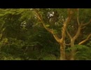 音で聴くエンタータイム(ミニミニ3m ver.)#1