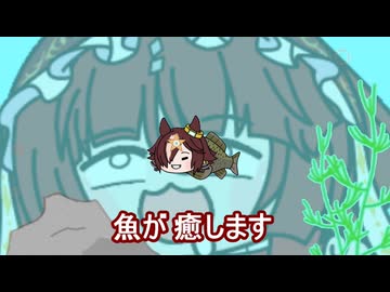 【＃ウマ娘】魚が 癒します【＃タモリ倶楽部】