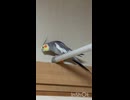 なぎ！□