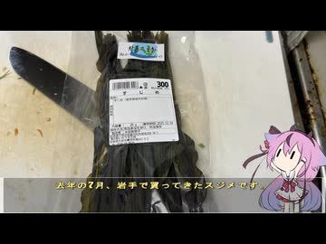 珍食材が食べたい！#229 スジメ