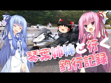 琴葉姉妹と行く釣行記録（車載編part36 93/93）