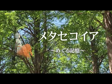 メタセコイア～めぐる記憶～ / Chaosseeker ft.知声