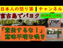 【宮古島でパヨクが自衛隊に喚く】「宮古島のイベントで自衛隊の宣伝をするな！」と本土から移住した活動家がまったく意味不明のことを言い放ち嘲笑をかってしまう #パヨク #PAYOKU