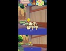 マダツボミにあっち向いてホイで負けても悔しくないが？【ぽこあポケモン実況】