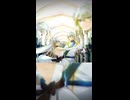 【一人二役】サンドリヨン(Cendrillon) 10th Anniversary (Cover)/零弌ラズヒ