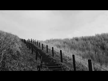 継ぎ目/ナースロボ_タイプT