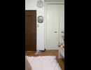 2026_0421_160730 ギフトで筋トレ