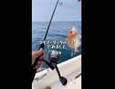 ダイソールアーロッド vs レンコ鯛。～自作仕掛けを添えて～