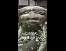 クセ強すぎる狛犬 #03｜とても不機嫌そう