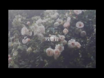 残響音 /feat.mai