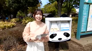 【チャンネル会員限定#259】田中真奈美 The world is your oyster【映像付き版】